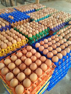 photo_6037102419373657912_y