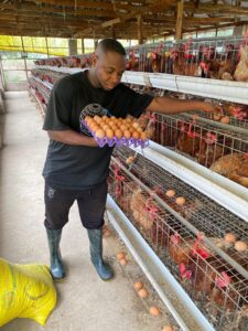 photo_6037102419373657913_y