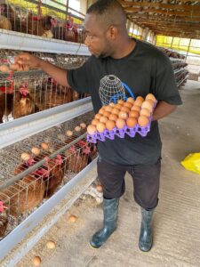 photo_6037102419373657915_y