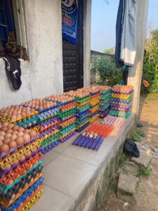 photo_6037102419373657917_y (1)